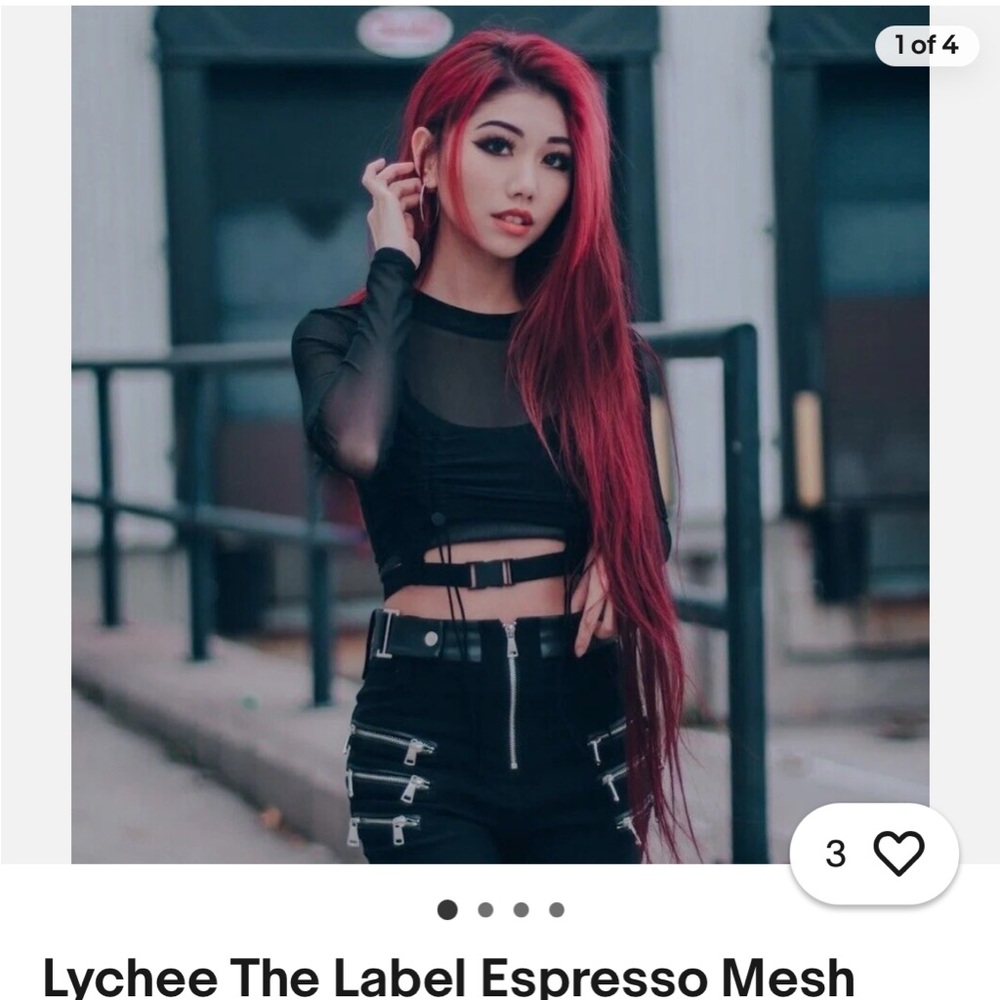 Lychee the Label: Black Mesh Crop Top - Small (updated listing - ON HOLD)